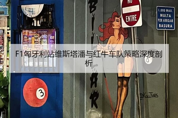 F1匈牙利站维斯塔潘与红牛车队策略深度剖析