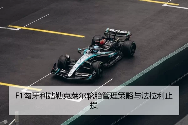 xiong-ya-li-zhan-lei-ke-lai-er-lun-tai-guan-li-ce-lve-yu-fa-la-li-zhi-sun-3-686.jpg