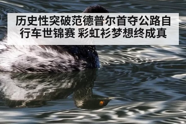 历史性突破范德普尔首夺公路自行车世锦赛 彩虹衫梦想终成真