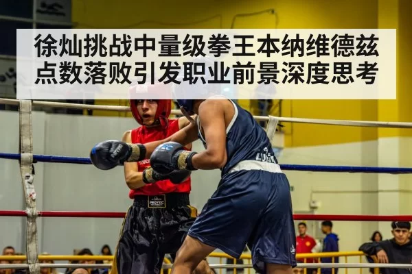 徐灿挑战中量级拳王本纳维德兹点数落败引发职业前景深度思考