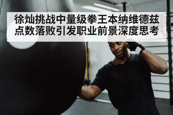 boxer punching heavy bag