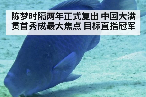 陈梦时隔两年正式复出 中国大满贯首秀成最大焦点 目标直指冠军